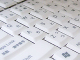 20040503.jpg