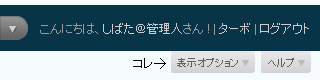 表示オプションとヘルプを隠す