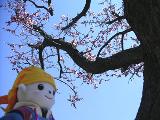 20040501.jpg