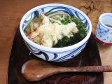 天ぷらうどん(850円)