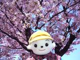 きれいでしょ？