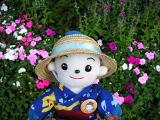 お花とコ太郎