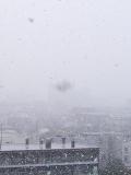 本日の札幌