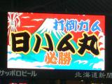 日ハム丸座礁中？