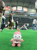さっきまでここで試合してたんだよ
