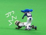 コケましたがな…