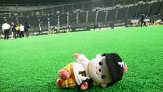 フィールドでごろーん