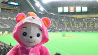 しばた家にホームステイ中のカンちゃん