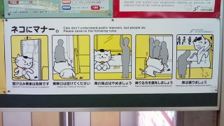 「ネコにマナー」