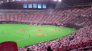 さくら色の応援ボード さくら色の応援ボード