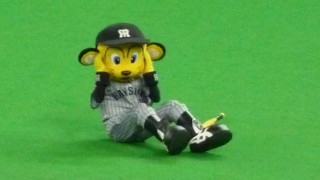 腹筋するトラッキー