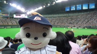カンちゃん、オールスター初観戦
