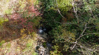 お花畑の橋の下 お花畑の橋の下