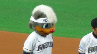 白モヒカンに『必勝』ハチマキのB☆B 白モヒカンに『必勝』ハチマキのB☆B