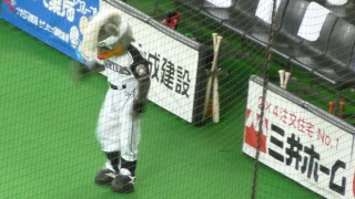 ベンチの中はもぬけのカラ ベンチの中はもぬけのカラ