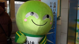 まりもっこり